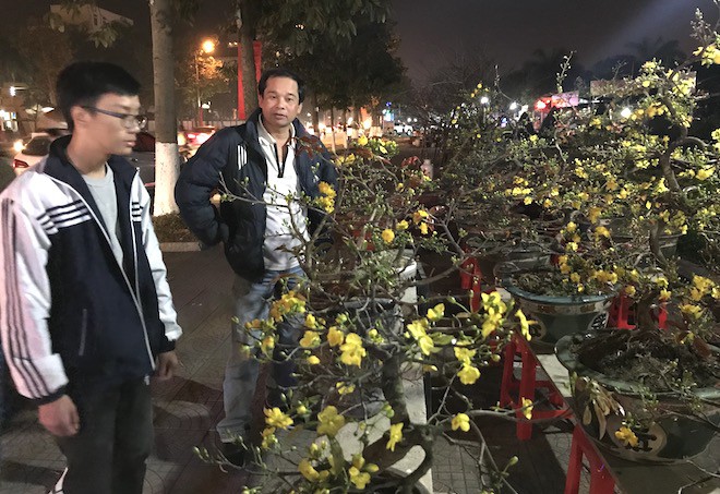 Trắng đêm ngồi co ro đốt củi sưởi ấm để canh đào, quất, hoa Tết